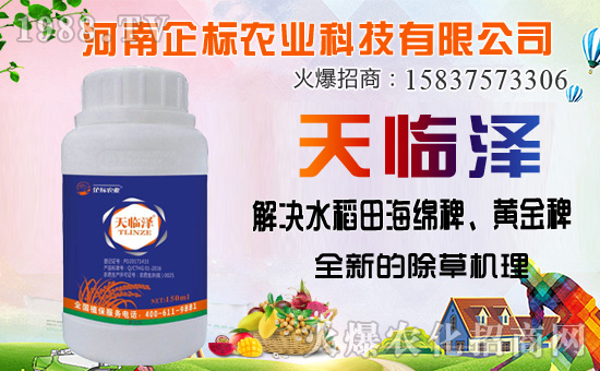 ���ݰ����ݙC�������ݰ��ܷ�����Щ����ʹ��ע���������Щ��