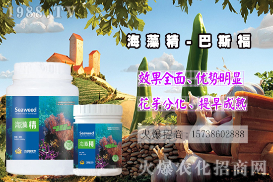  ߀���˽⺣�徫��ɶ����������out�������徫�����ж����