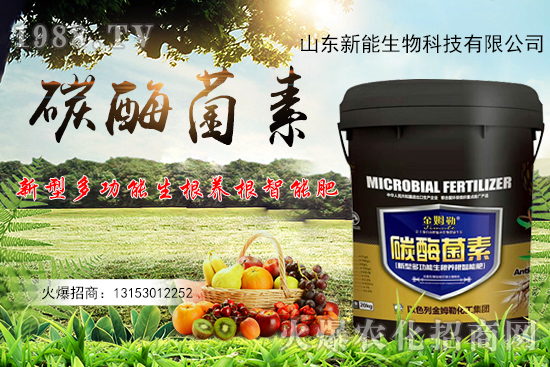 һ�ʶ������ЙC̼+����ø+�����+�I�B(y��ng)Ԫ����̼ø������ʲô���ã�