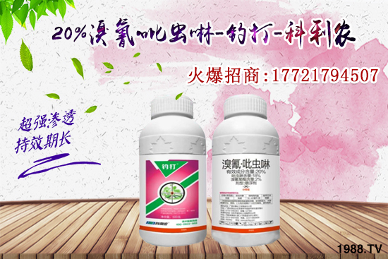 �������x���l(f��)̫���������x��ô��Ч���ã����x���η�������Щ��