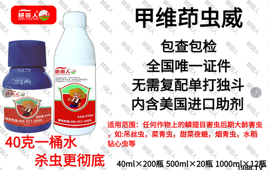 ����Ʒ�r(n��ng)ˎ�������¼Z�}������������ô�������x���a(ch��n)Ʒ����Щ��