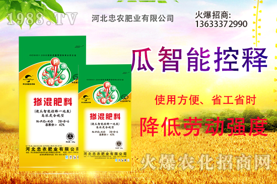 �������������Щ������ʵ�ʹ�÷�����ԓ����xُ(g��u)��