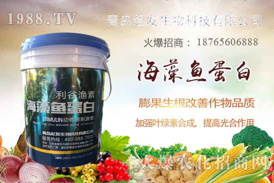 �߲˶�ֲ��ξ�������߲������`�^(q��)����Щ���߲�������������]��