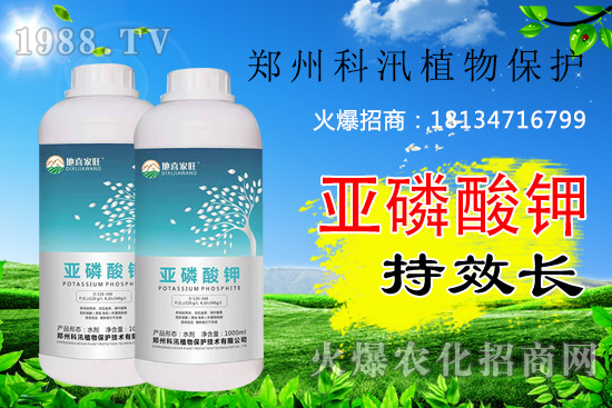 ������⛹�Ч�������C������Щ������������õĺ���᣿