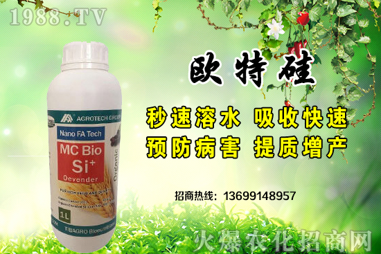 ��������̩�˼��F(tu��n)��˾