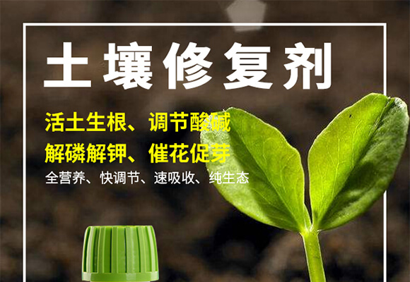 �����ޏ�(f��)��-����-��(��i)�r(n��ng)˹�_(d��)_01