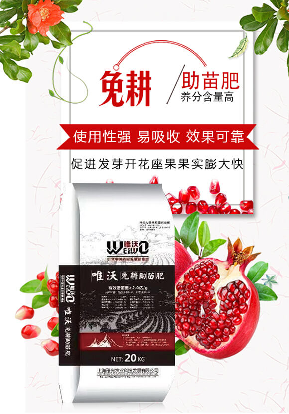 ��������-Ψ��-�Ź��r�I(y��)_01