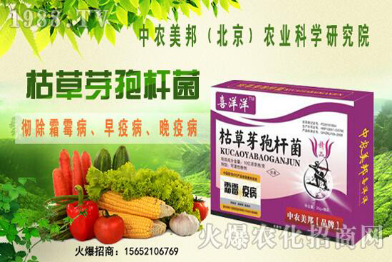 �ݲ�ѿ�ߗU���θ������ᣬ������Щ�������������Ό�������Щ��