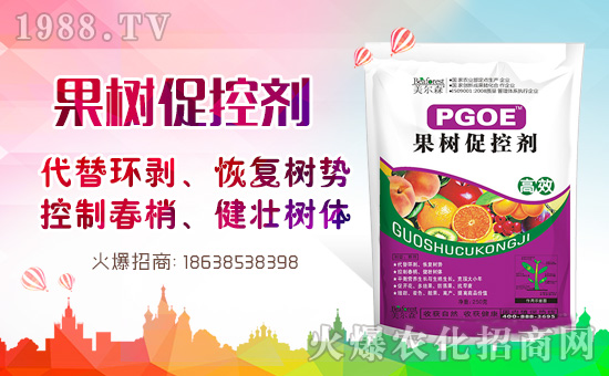 果樹巧用多效唑！效果翻倍沒問題！多效唑的作用與使用方法！