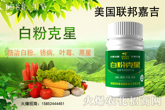 �׷۲����݁��u�����Ͱl(f��)������β���ô������׷۲������]��