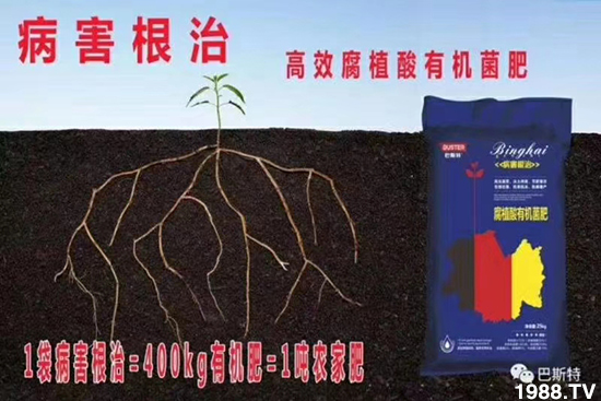     ���׌�Nֲ׃�ø��p����һ���ײ���ȫ���䷽����˹�ش󽪠I�B(y��ng)�ײͷ�����