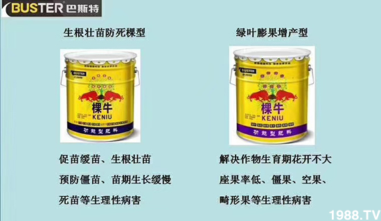     ���׌�Nֲ׃�ø��p����һ���ײͣ�ȫ���䷽����˹�ش󽪠I�B(y��ng)�ײͷ�����