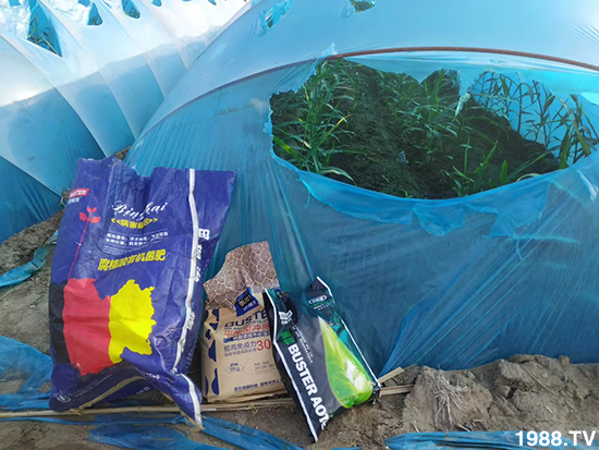     ���׌�Nֲ׃�ø��p����һ���ײ���ȫ���䷽����˹�ش󽪠I�B(y��ng)�ײͷ�����