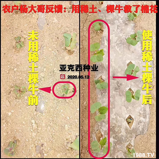     ���׌�Nֲ׃�ø��p����һ���ײͣ�ȫ���䷽����˹�ش󽪠I�B(y��ng)�ײͷ�����