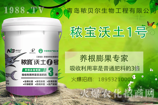 �����B(y��ng)������P(gu��n)�I���������B(y��ng)�����ԓʩʲô������