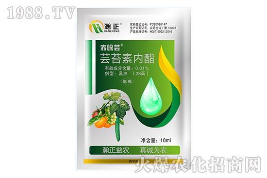 �|̦�؃�(n��i)����ʲô��(y��u)�����|̦�؃�(n��i)����(f��)�䷽������Щ��