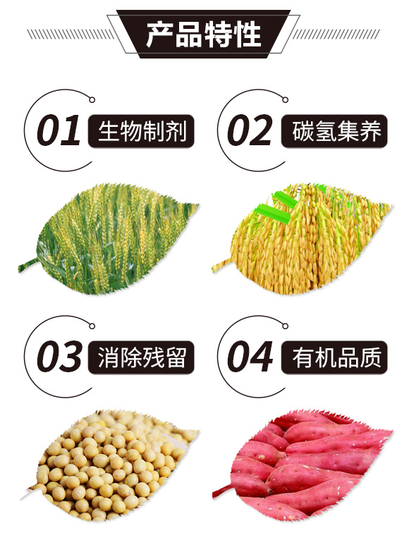 ̼?x��)�˷?�����T-̼?x��)���H_02