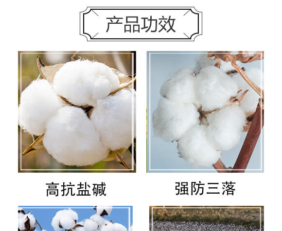 ���Ќ�-������_04