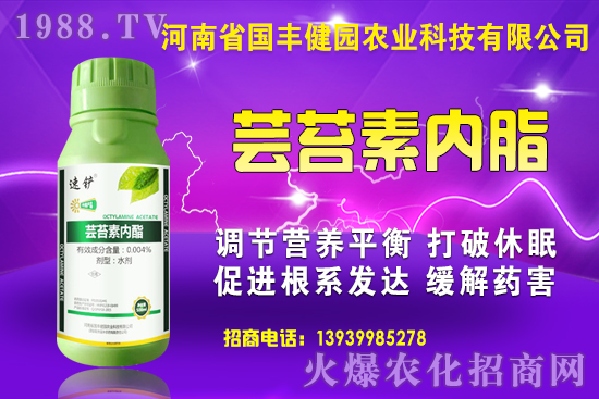 ���؃r(ji��)��