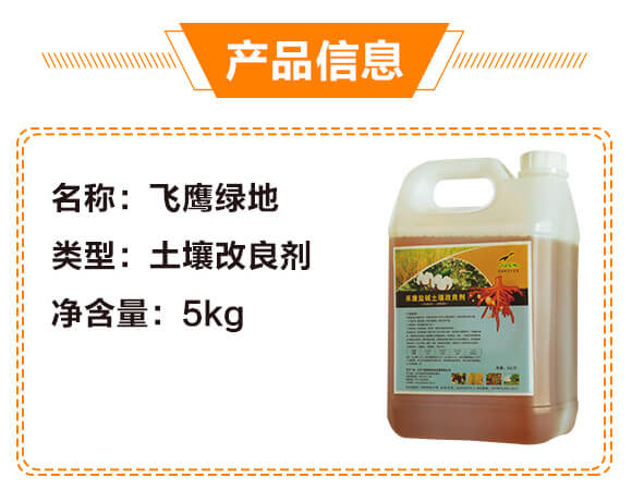 �̿��}�A����������-�w���G��_02