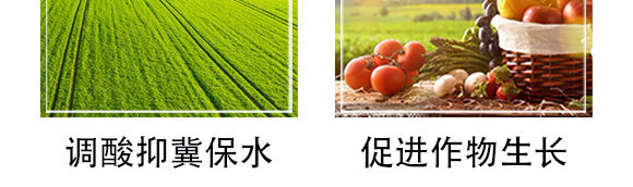 �VԴ�S�����-�ڽ��-��С��_07