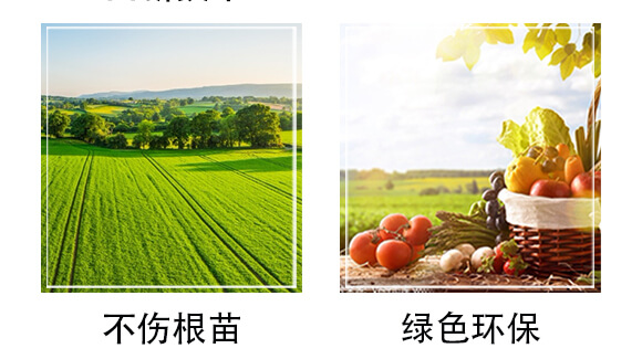 ���Y���xˎ�������-���o��-��С��_05