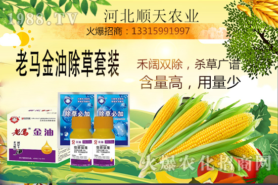 ����������������Ч�������׳����P(gu��n)�I�c(di��n)��R����