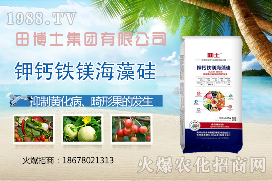 Խ�ķ��ѻ��ι����a(ch��n)���ϲ�ȥ�����η��ѻ��ι����@ЩҪ�I(l��ng)��������