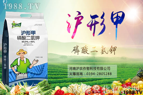 ��������-���μ�-�Ĝ��r(n��ng)