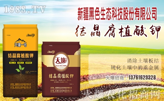 �Y(ji��)����ֲ��⛺���(b��o)