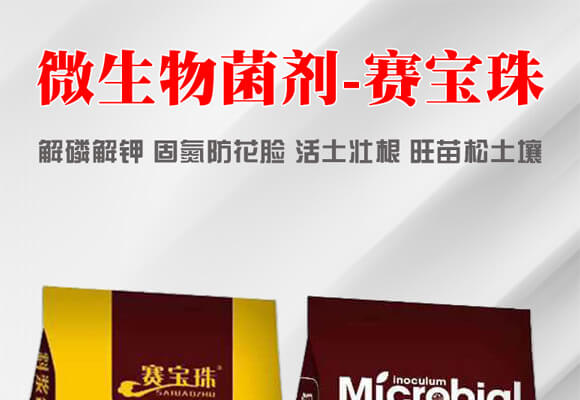 ΢�������-ِ����_01