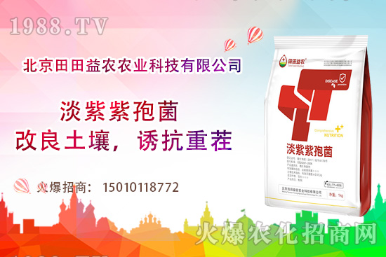 ���t��������c����Щ�����t���ļ���ι�����