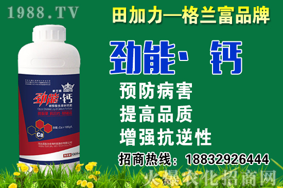 2020���}��ʲô�r(sh��)��N�����}���NֲҪע����Щ��(w��n)�}��