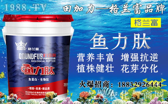 ���䌦�B(y��ng)���������c����Щ������ʩ���`�^(q��)�����_ʩ�ʷ�����