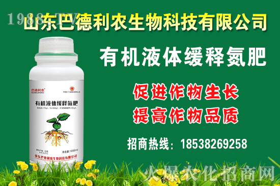 ���������Xһ��Nֲǰ����������Nֲ�ɱ�������������