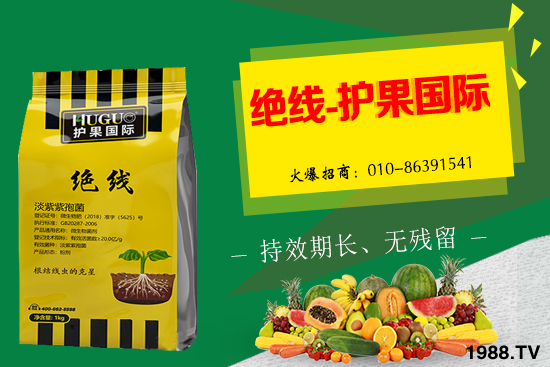 �޻���ʲôҪ�����������Щ��̎���޻�������g�������h��