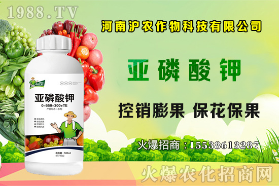 ���[����Ҫ�c(di��n)��֪���������[��Ҋ���x������Щ����η�����