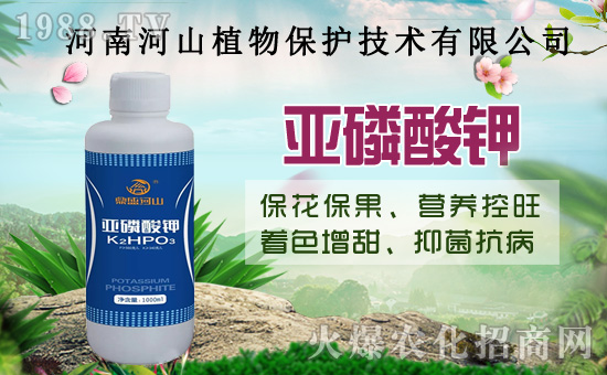 С�����߼Ӵa�������u(m��i)�Z��2020��8��14��С���r(ji��)�����飡