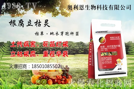 �S����ʲô����(ji��)�������S���˷Nֲ������B��