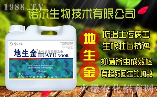 �S���˷N����ô�ɼ����S���˷N��r������Xһ����