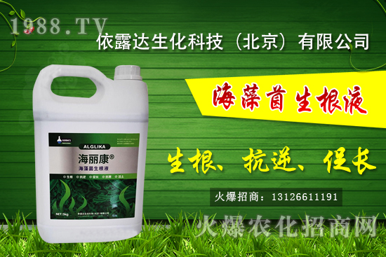 �J��������ЩƷ�N���J���Һ��殐����ʲô�^(q��)�e��