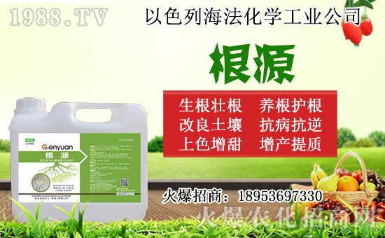 �o������ôǤ�����o����Ǥ��r(sh��)�g��Ǥ�己ֳ������