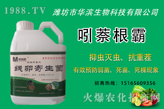 �o�����NֲʲôƷ�N�^�����o����Ƥ���ԳԆ����Nֲǰ�����ӣ�