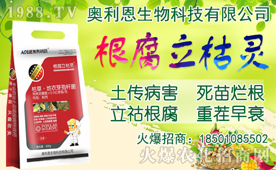 ���[���ʩ�ʣ����[�Nֲ���������N�r�g��