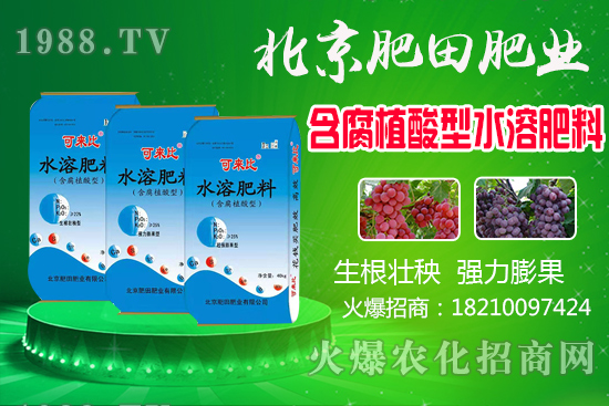 �J�̮a���������J��ʲô�r��������������x�J����