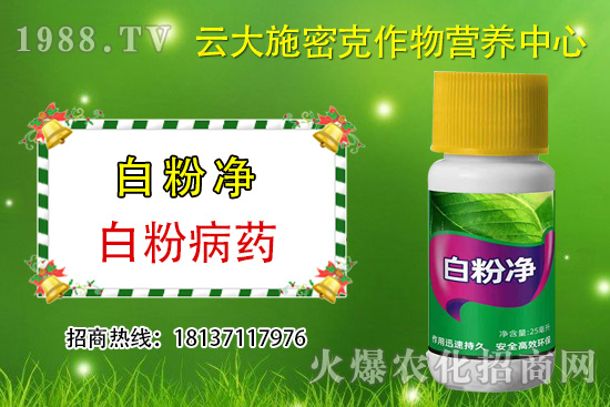 ʲô��ֲ��Դ�r(n��ng)ˎ��ֲ��Դ�r(n��ng)ˎ�c���W(xu��)�r(n��ng)ˎ�^(q��)�e������