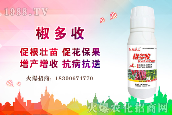 С���r������Xһ�2020�����С���r��߀���ϝq����