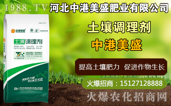 ��ˎ̫�Ӆ�ʲô�r�g�Nֲ��̫�Ӆ�ʲô�r���ի@���ã����Nֲ���g(sh��)��