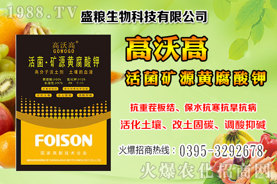 �˅������a(ch��n)Ч���Ƕ��٣��˅����ķNֲ�c�������g(sh��)��