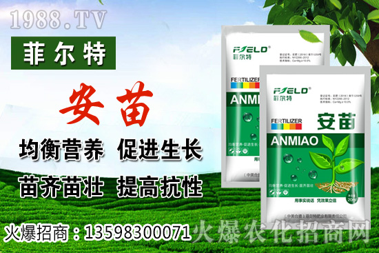 ���\�����L���h(hu��n)����Ҫ�������\���Nֲ�����ռ��g(sh��)��